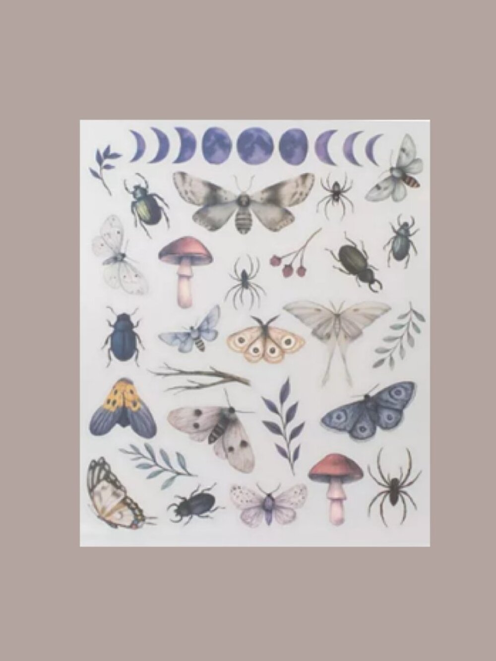 Bullseye's Playground™ Decals Halloween Seasonal Flora and Fauna Varietals